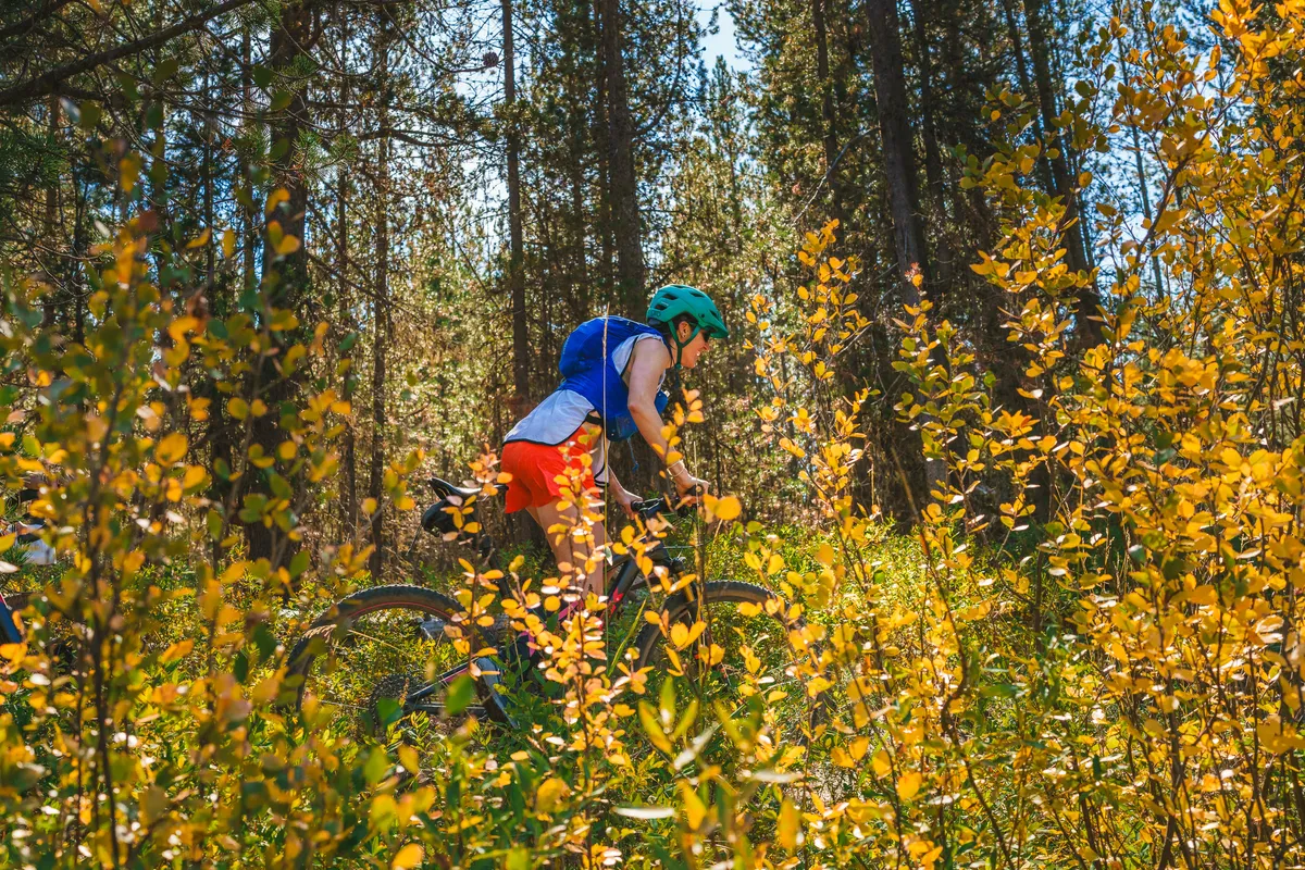 La Pine Loop 2026